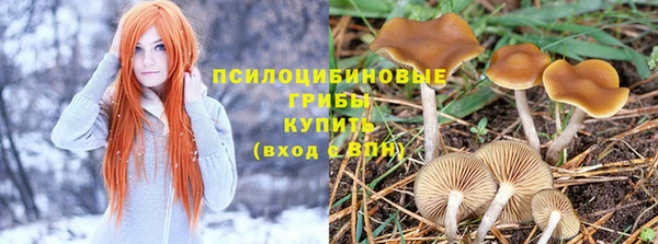 соль курить ск Сафоново