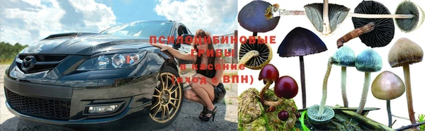 мяу мяу мука Алексин