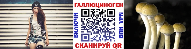 где купить наркоту  Саратов  MEGA   Псилоцибиновые грибы Psilocybine cubensis 