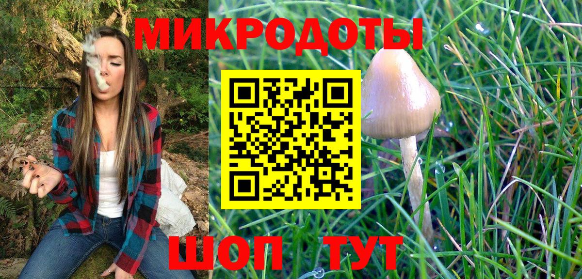 купить наркотик  Вход с VPN  Галлюциногенные грибы Psilocybe  Саратов  Галлюциногенные грибы ЛСД 