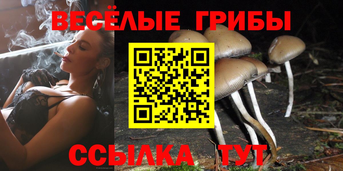 Псилоцибиновые грибы MAGIC MUSHROOMS Саратов