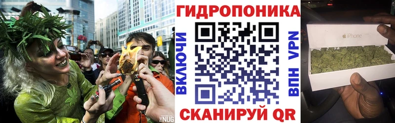 где купить наркоту Саратов блэк спрут зеркало Марихуана сатива